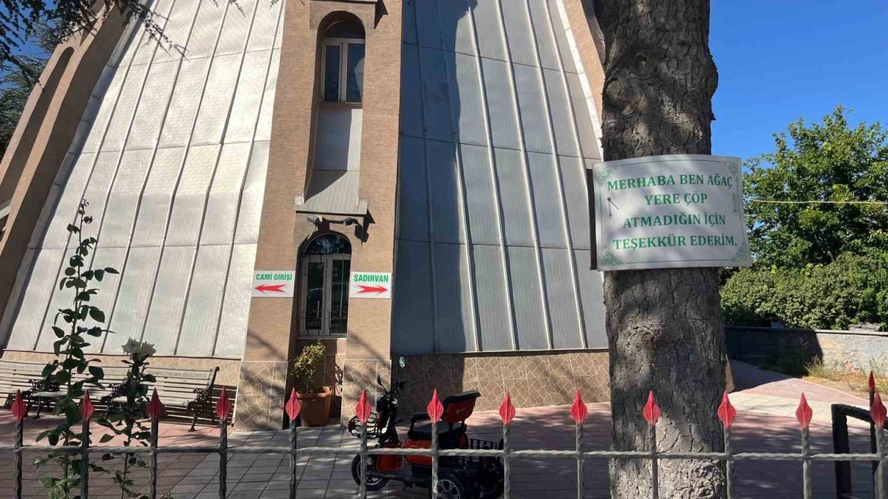 Ağaçlarda çevreye duyarlılık mesajları