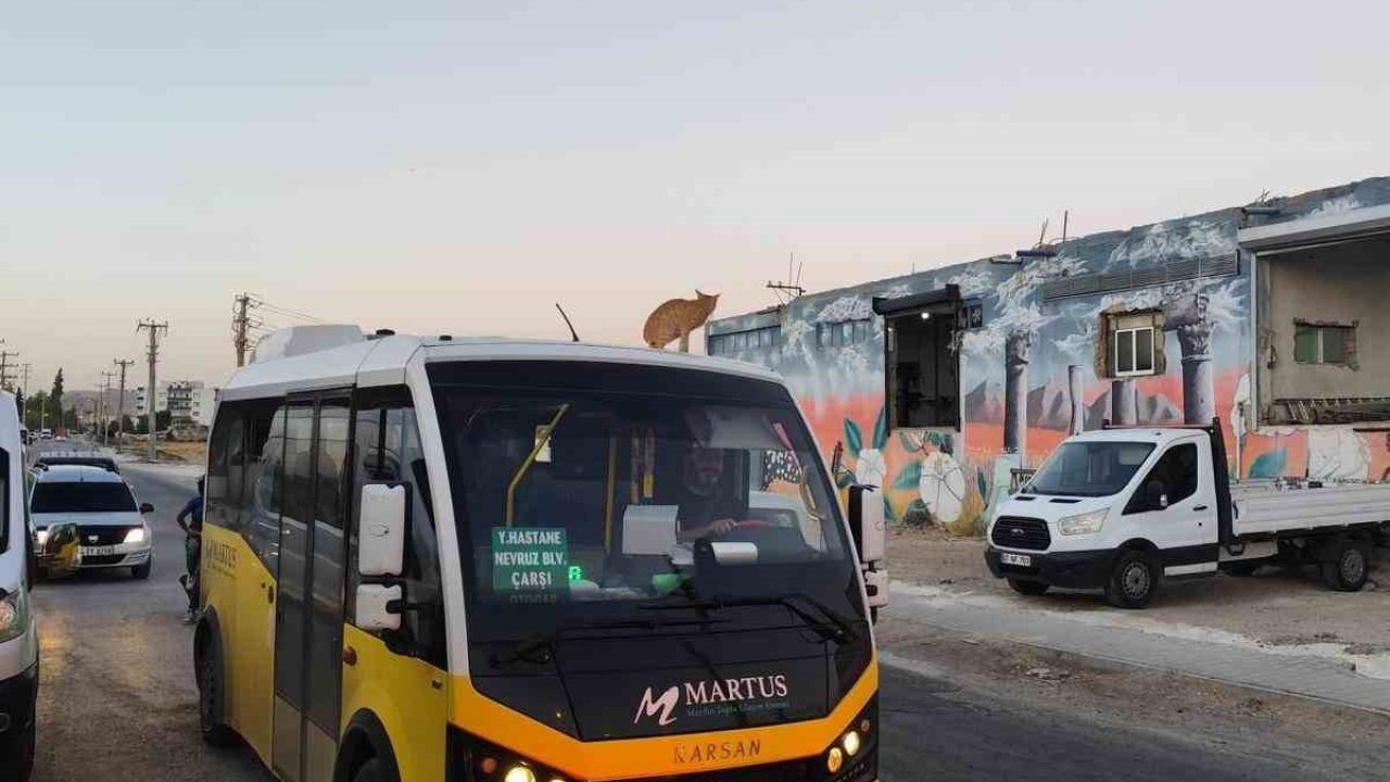 Mardin’de dolmuşun üzerinde yolculuk yapan kedi kameraya yansıdı