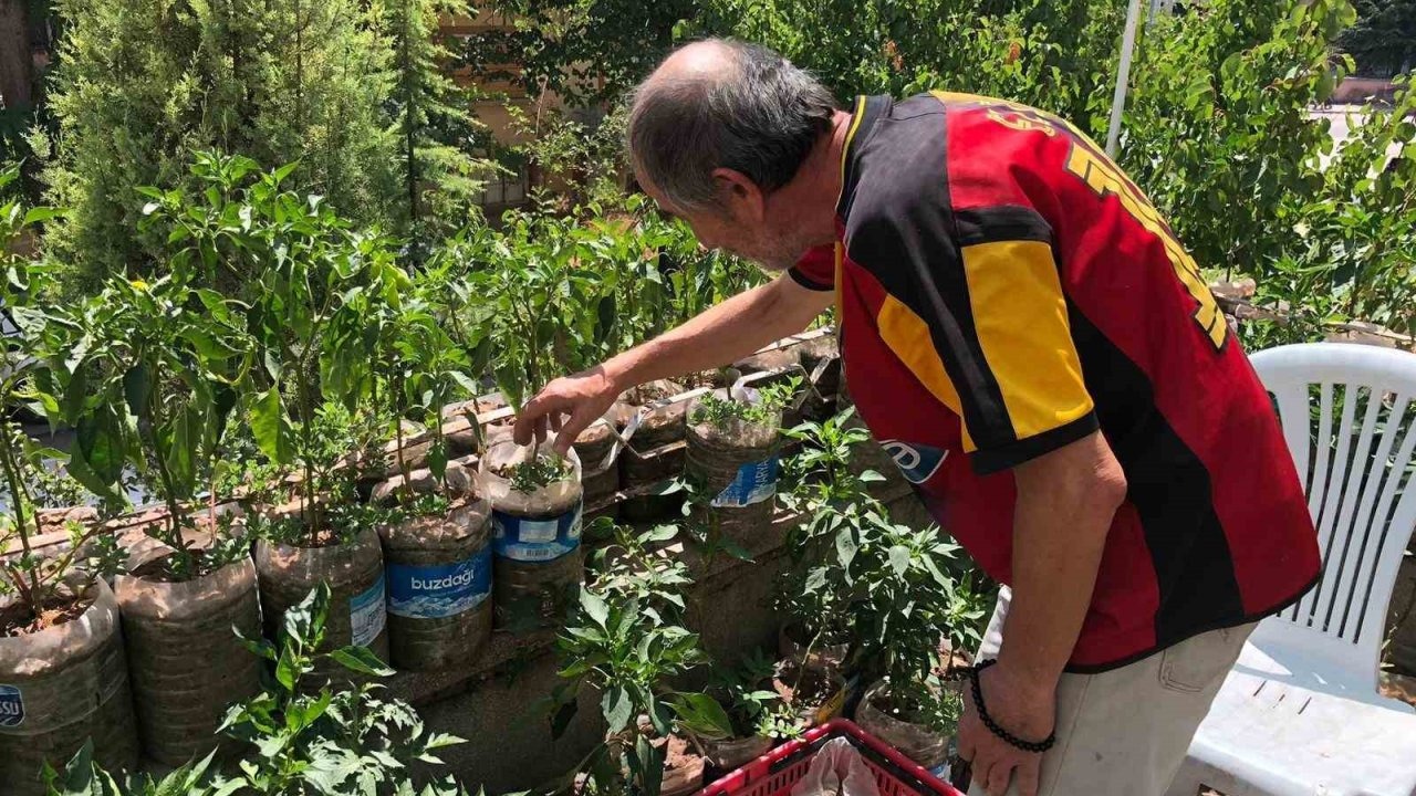 Eskişehirli esnaf iş yerinin balkonunu bahçeye çevirdi