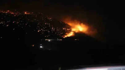 Denizli’de orman yangınına gece karadan müdahale sürüyor