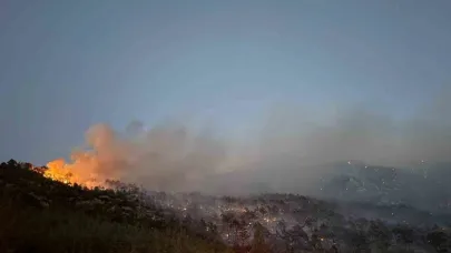 Denizli’deki orman yangını kontrol altına alındı