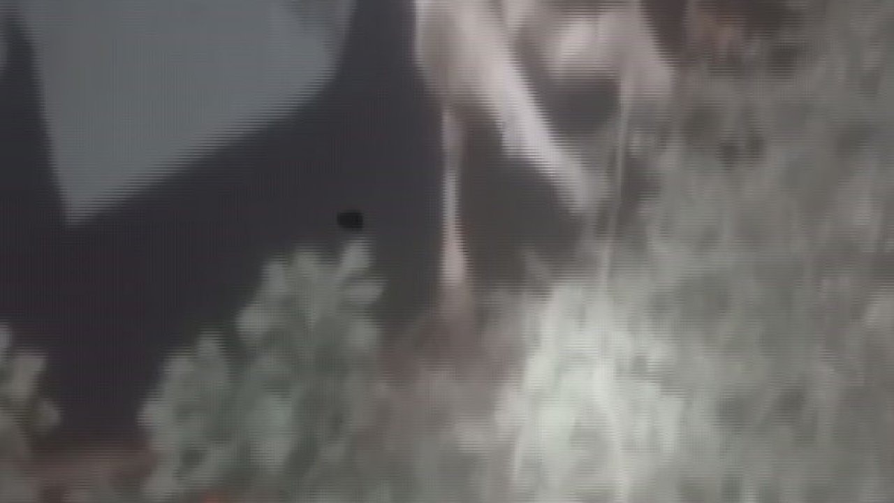 Sulama kanalına düşen ineği itfaiye ekipleri kurtardı