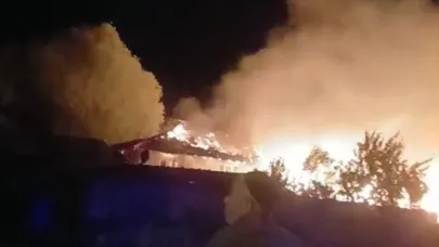 Kütahya’da köyde çıkan yangında evler, samanlıklar ve ahırlar kül oldu