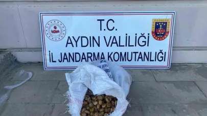 Bahçeden 50 kilo incir çalan şüpheliler jandarmadan kaçamadı