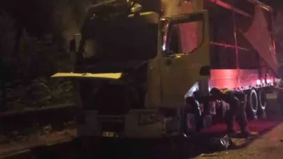 Bursa’da park halindeki tır alev alev yandı