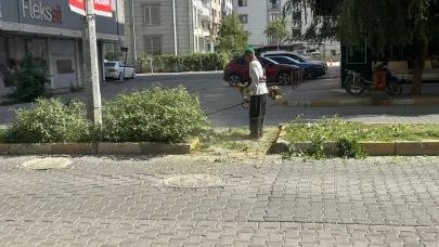 Refüjlerde Ot Biçme Çalışması
