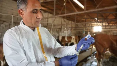 Kars’ta Tarım Orman Müdürü Aydın kolları sıvadı, büyükbaş hayvanları aşıladı