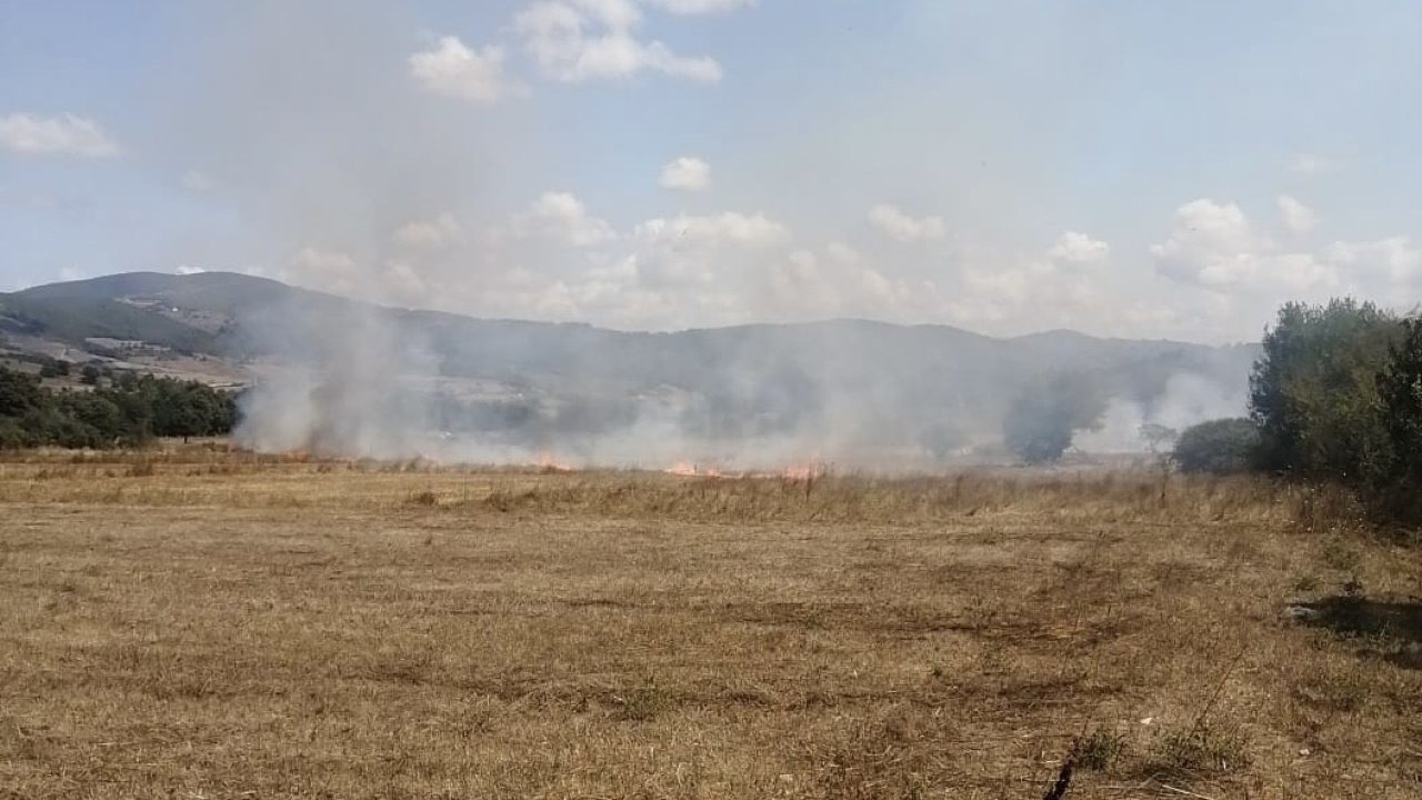 Samsun’da anız yangını ormana sıçramadan söndürüldü