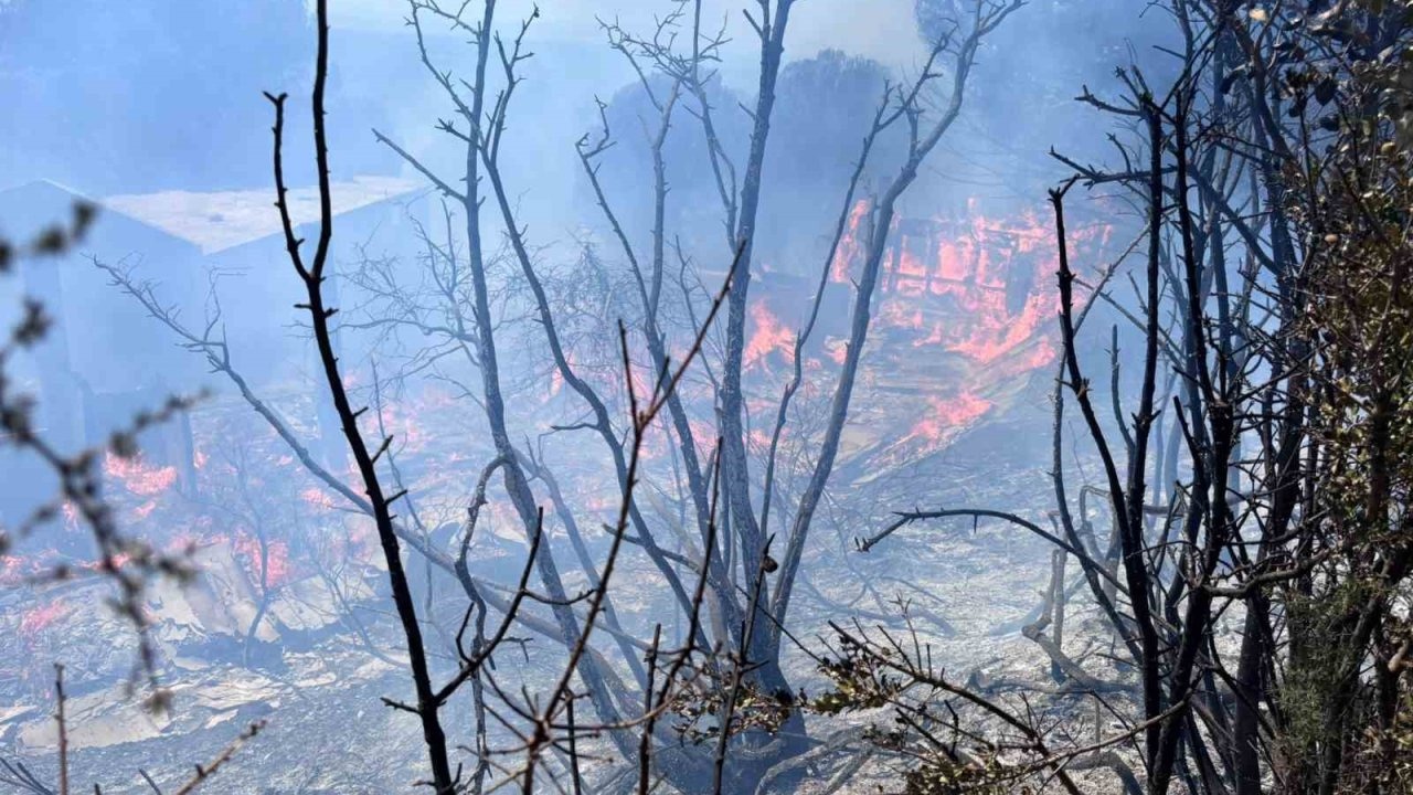 Erdek’te çıkan orman yangını kontrol altına alındı