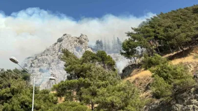 Hatay’da orman yangını