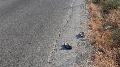 Genç motosiklet sürücüsü kazada hayatını kaybetti