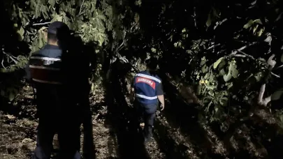 Jandarma, incir hırsızlarına geçit vermiyor