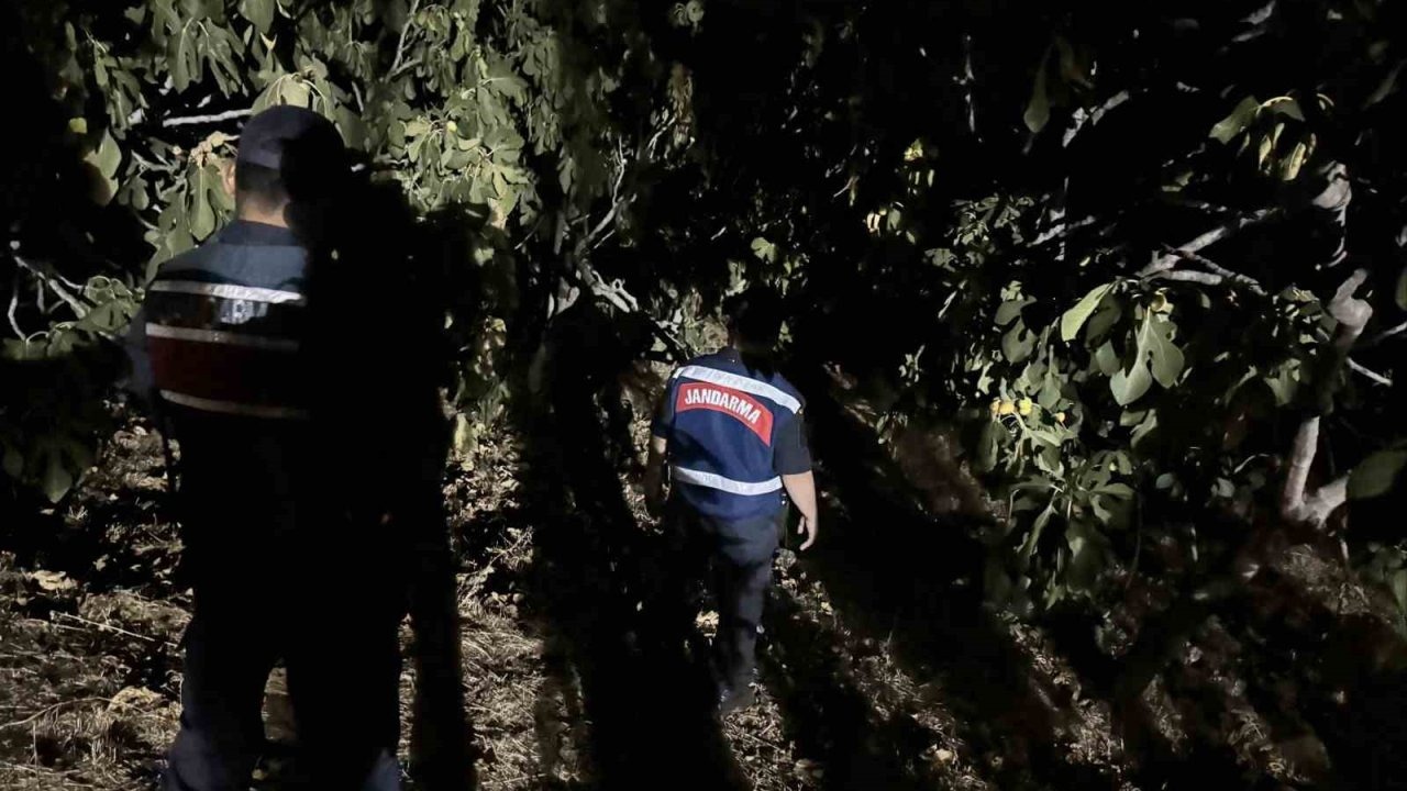 Jandarma, incir hırsızlarına geçit vermiyor