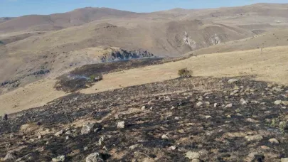 Erzurum’da korkutan ot yangını