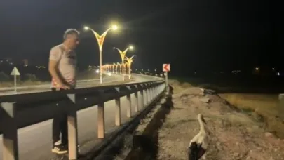 Yaralı leyleklere Başkan Çenet’ten şefkat eli