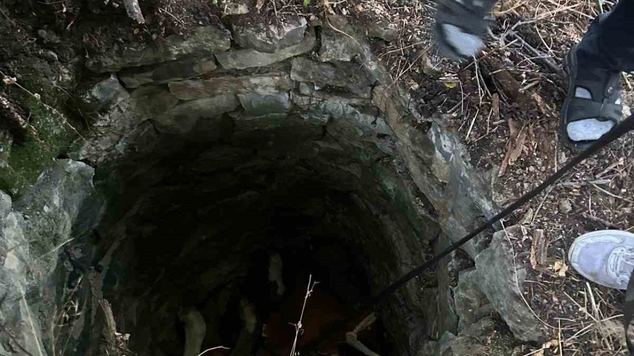 Su kuyusuna düşen inek için seferber oldular