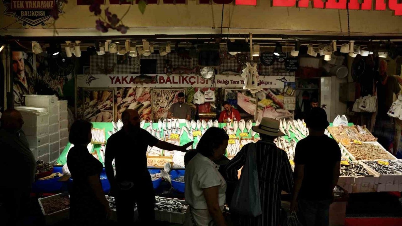 İstanbul’da balık sezonu hamsi ve istavrit bolluğuyla başladı