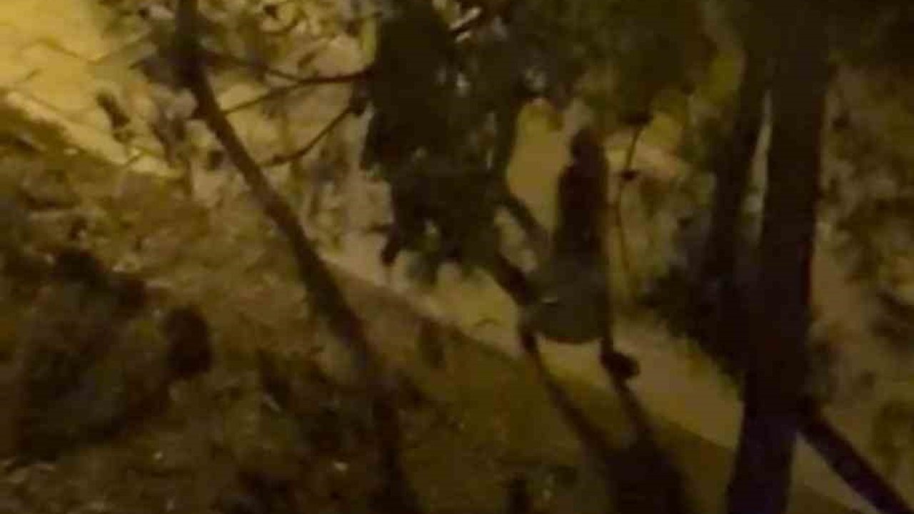 Diyarbakır’da husumetlilerin kavgasında kan aktı, olayla ilgisi olmayan bir kişi hayatını kaybetti