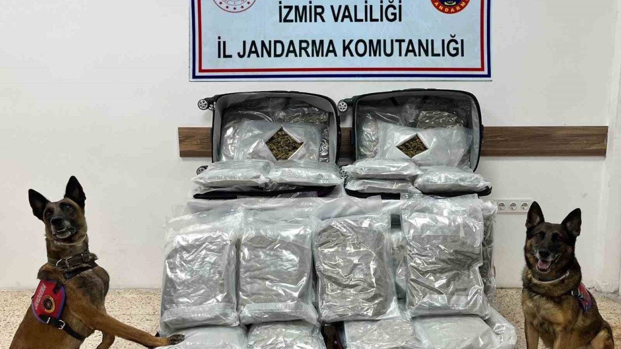 İzmir’de uyuşturucu ticaretine Jandarmadan geçit yok