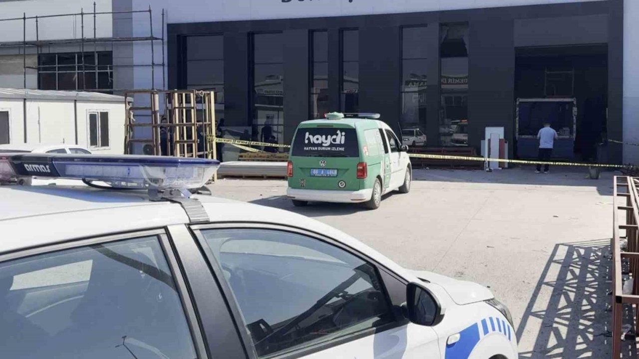 Parasını alamayan iki kardeş kurşun yağdırdı: 2 yaralı