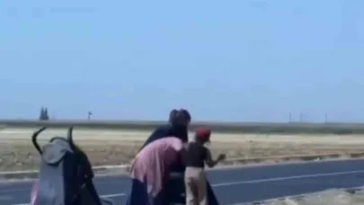 Mardin’de dilenci kadınlar yol ortasında kavga etti