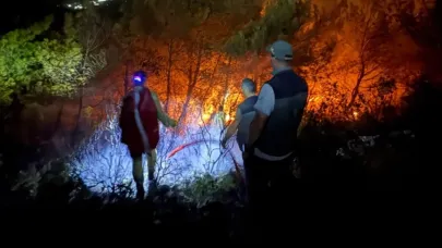 Söke’deki orman yangınının yayılması durduruldu