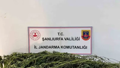 Şanlıurfa’da uyuşturucu operasyonu: 42 gözaltı