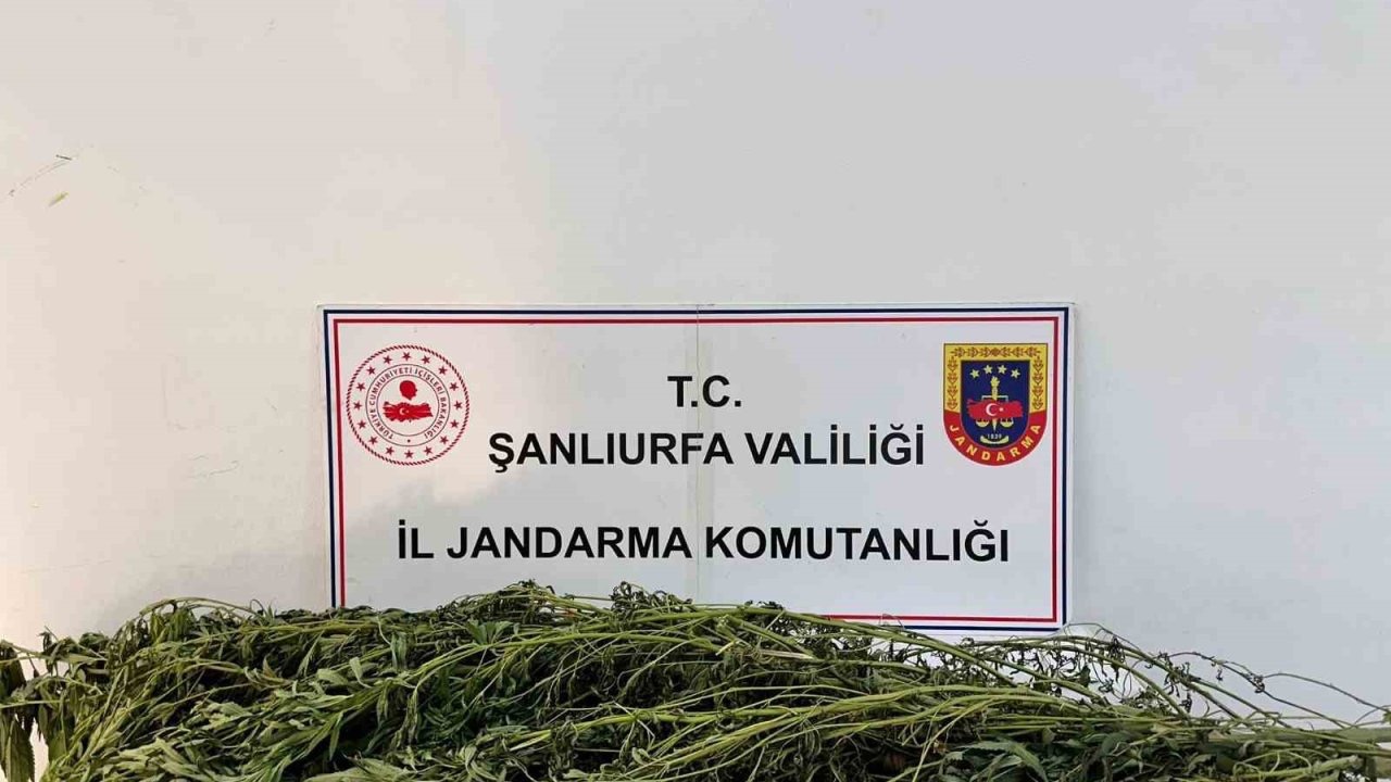 Şanlıurfa’da uyuşturucu operasyonu: 42 gözaltı
