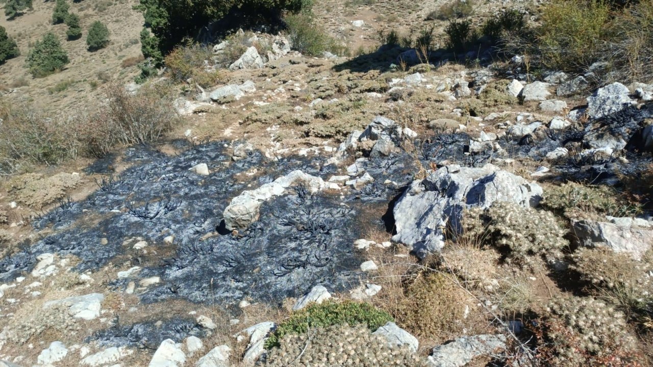 Burdur’da çalılık yangını söndürüldü