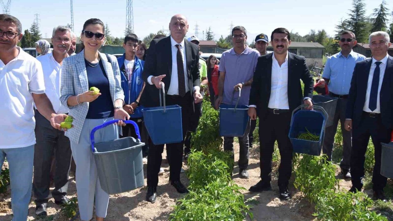 Karapınar’da "Doğayla El Ele Öğreniyorum, Üretiyorum, Paylaşıyorum" projesi meyvelerini veriyor