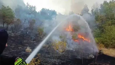 Hakkari’de 3 farklı bölgede çıkan yangın itfaiye ekiplerince söndürüldü