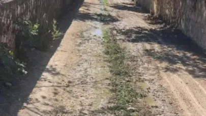 Bayırköy Belediyesi’nden kanal temizliği