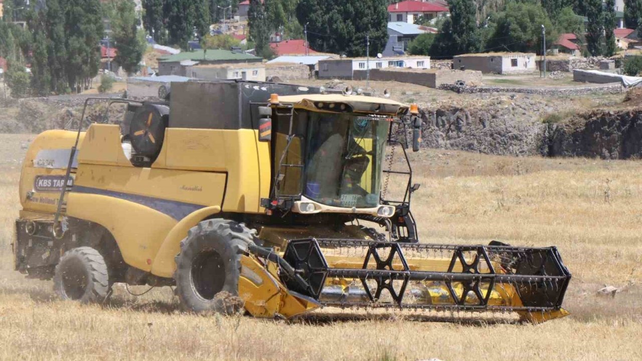 Diyadin’de hasat mevsimi başladı