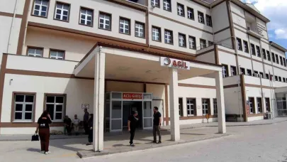 Bolu’da ayı saldırısında 1 kişi yaralandı: Saldırı sonrası av kararı