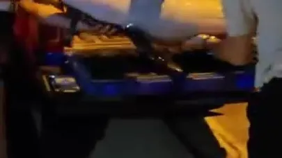 Bursa’da ölü yunus balığı kıyıya vurdu