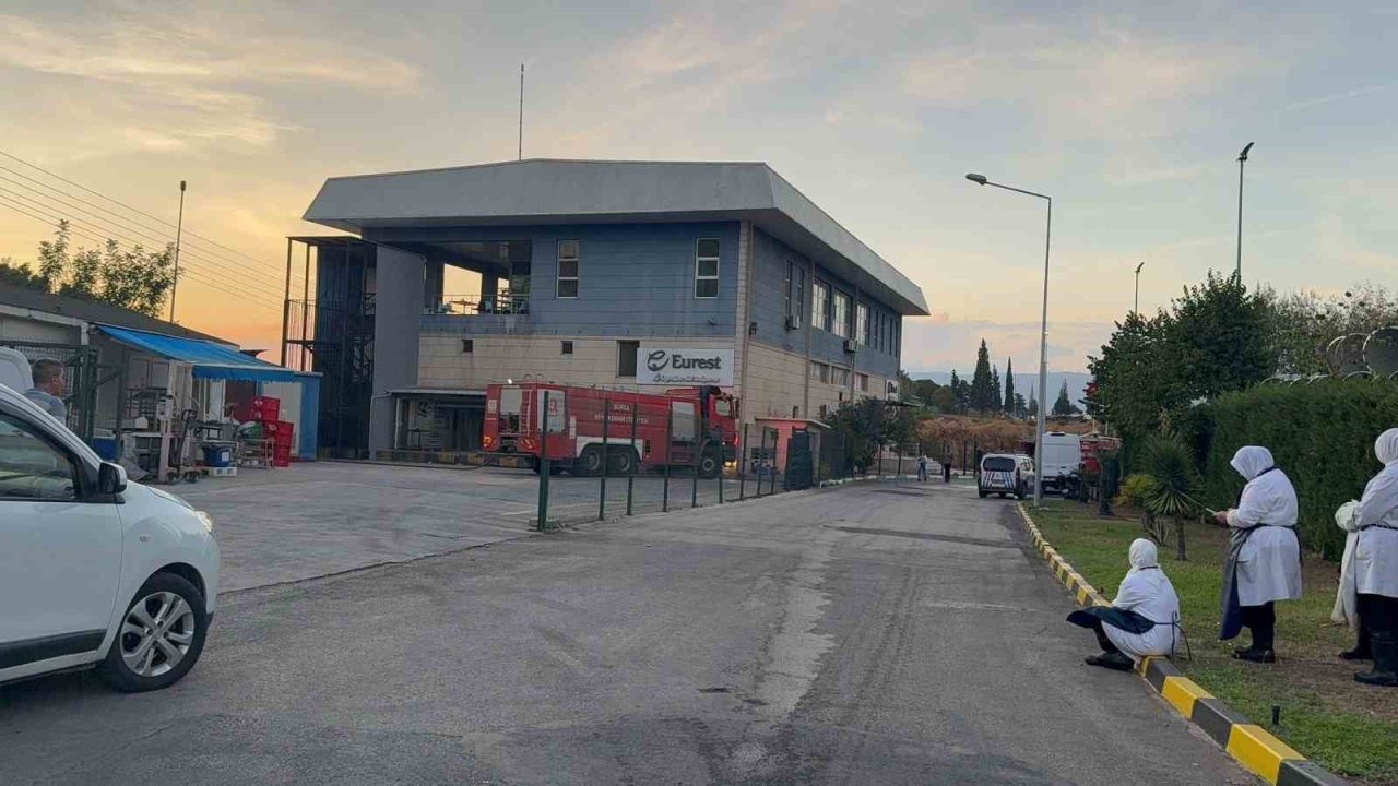 Gemlik Serbest Bölge’de çıkan yangın paniğe neden oldu