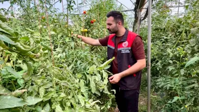 IĞDIR’DA SERA VARLIĞI TESPİT ÇALIŞMALARI BAŞLADI