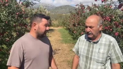 Isparta’da bir gecede 4 bin 200 ton elma doluya teslim oldu, zarar 170 milyon TL