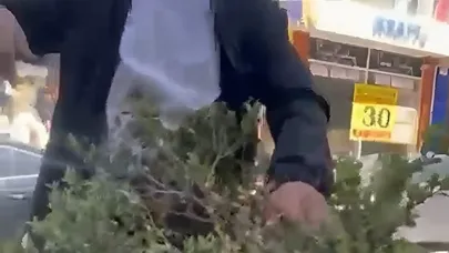 Van’da refüjdeki çiçek ve fidanlara zarar veren şahıs suçüstü yakalandı