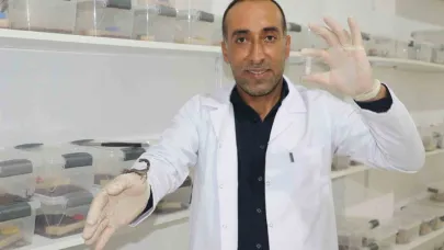 İnşaatçılıktan akrep zehri üretimine geçti, gramından on binlerce dolar kazanacak