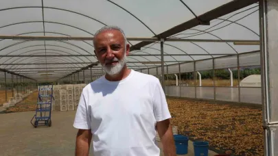 İncir üreticisi tek çatı altında toplanmak için çalışma başlattı