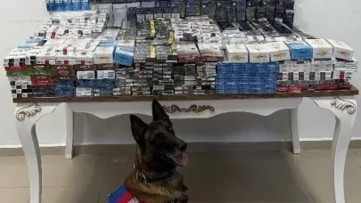 Yol kontrolünde 3 bin 606 paket kaçak sigara ele geçirildi