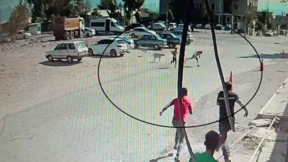 Köpeklerden kaçarken yere yığılan çocukların yardımına vatandaşlar yetişti