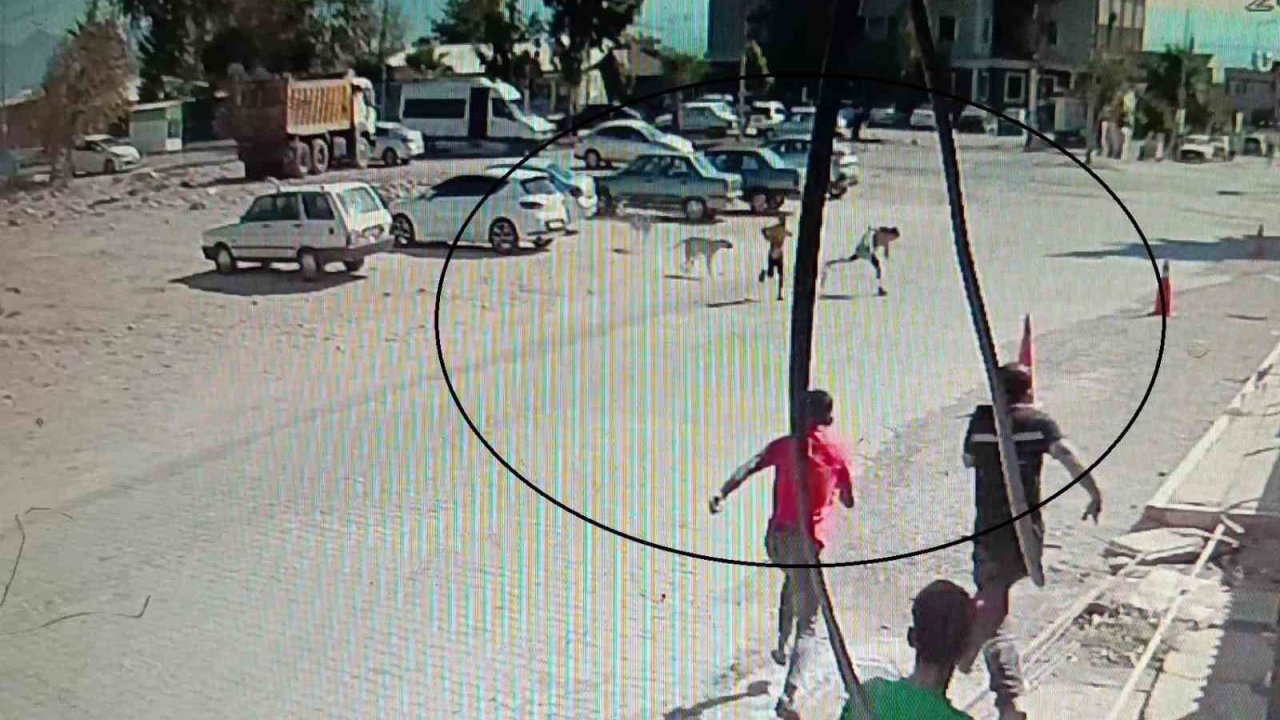 Köpeklerden kaçarken yere yığılan çocukların yardımına vatandaşlar yetişti