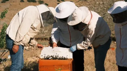 Erzurum’da bal üretimi sektöre değer katıyor