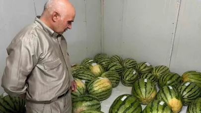 Diyarbakır’da karpuz yarışmasına sayılı günler kaldı
