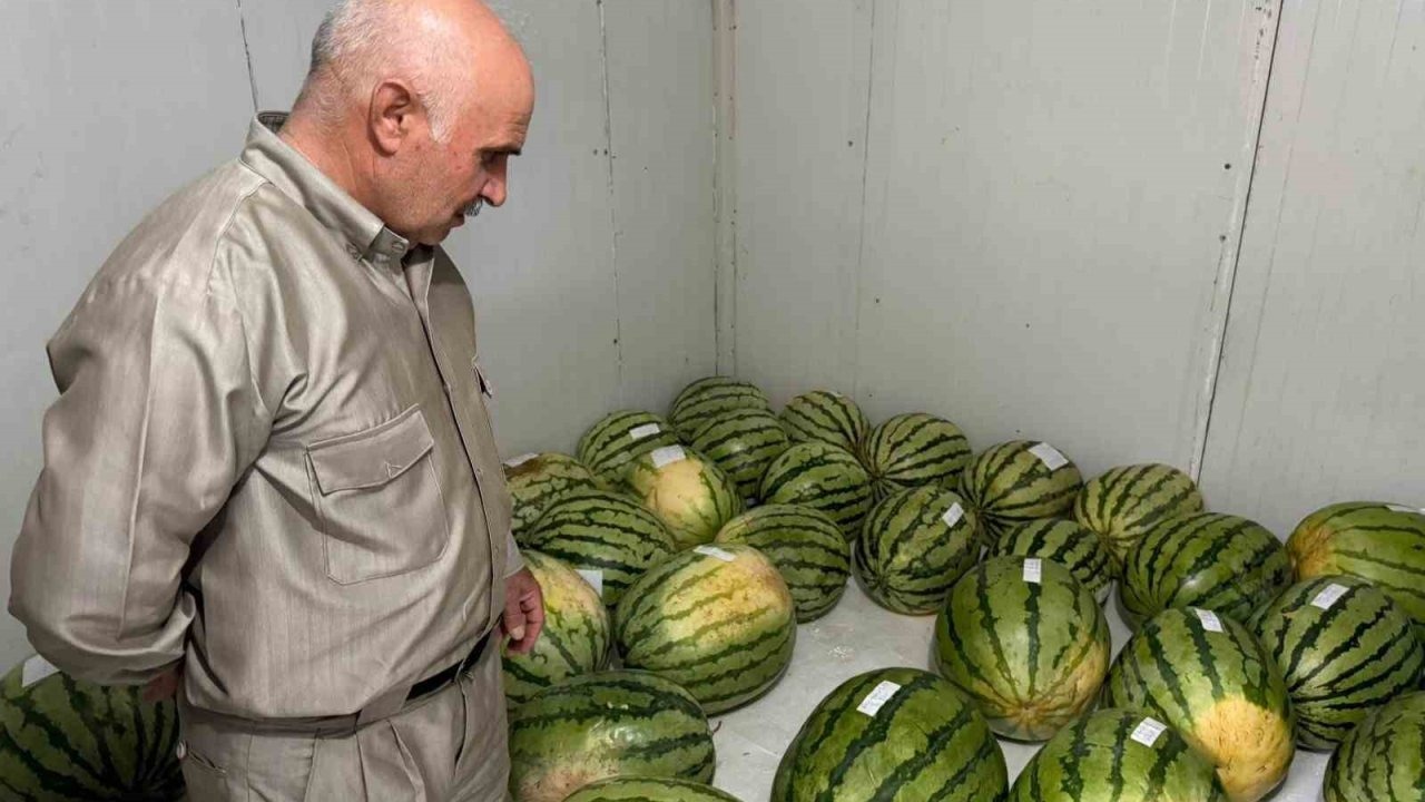 Diyarbakır’da karpuz yarışmasına sayılı günler kaldı