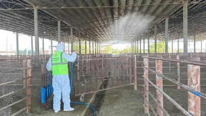 Hayvan Pazarlarında Dezenfeksiyon Çalışmaları Sürüyor