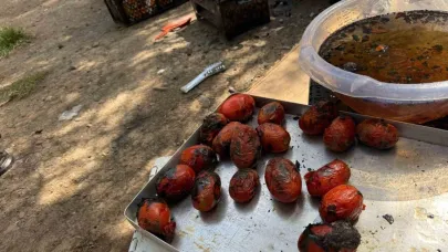 Ağrı’da kış hazırlıkları başladı