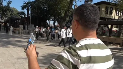 Sahibinin omzunda ve elinde çarşıyı geziyor